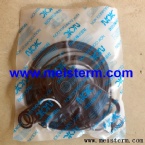 AP12 MAIN PUMP SEAL KIT