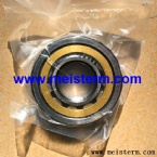 NU305 NTN BEARING