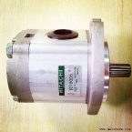 GEAR PUMP 9218005 4276918