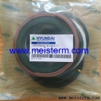 R210LC-7 BOOM CYLINDER SEAL KIT 31Y1-15880