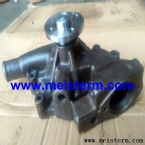 4D95 WATER PUMP