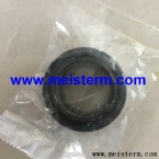 E320 MAIN PUMP BEARING